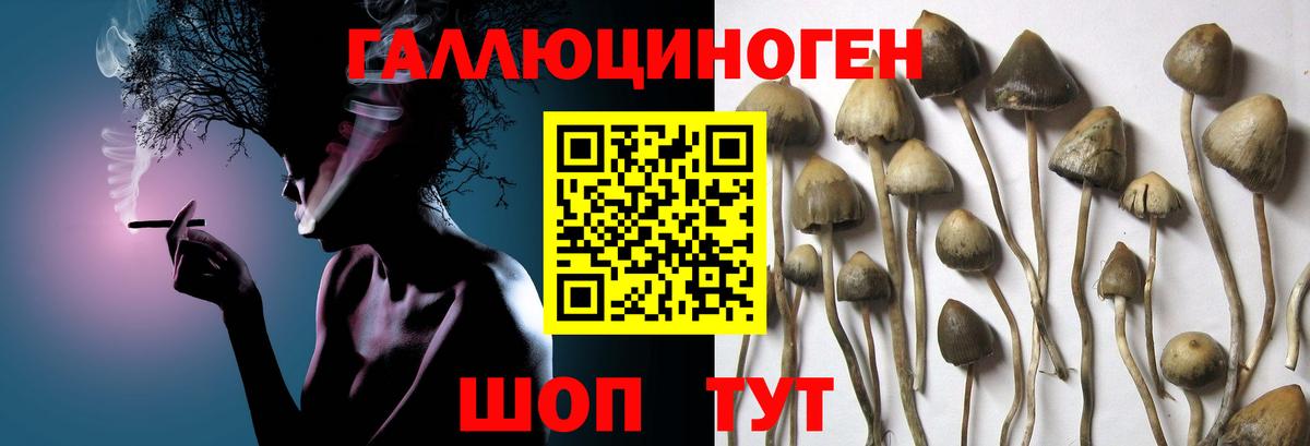Галлюциногенные грибы ЛСД  Псилоцибиновые грибы прущие грибы  Кашира  Вход с VPN 